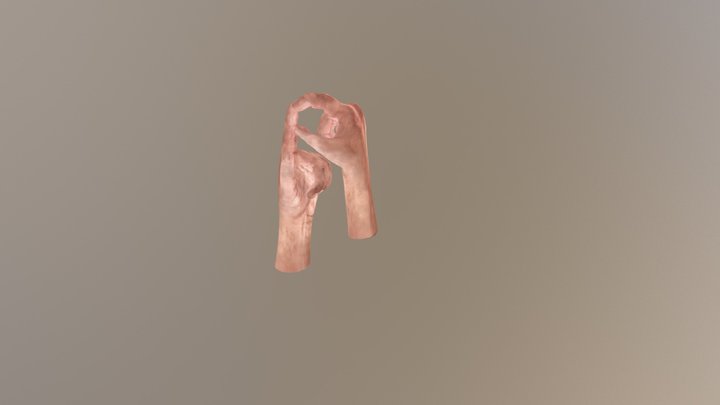 SignLanguageTool - Sketchfab