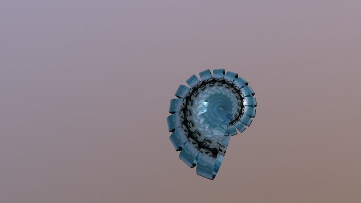 Gastropoda Shell 3D Model