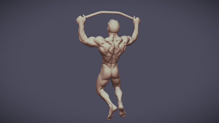 Bodybuilder anatomy practice 2. 3D Model