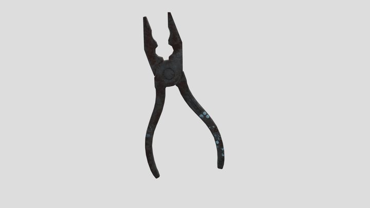 Passatighy LP 3D Model