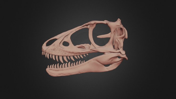 Baby T. rex 3D Model