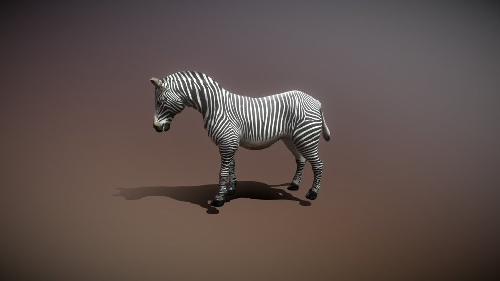Zebra - Rigged
