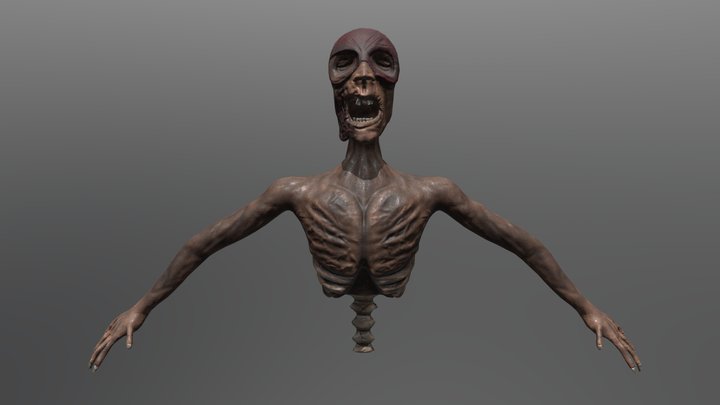 Time Wraith - The Flash 3D Model