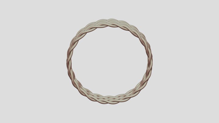 Braid Ring 3D Model