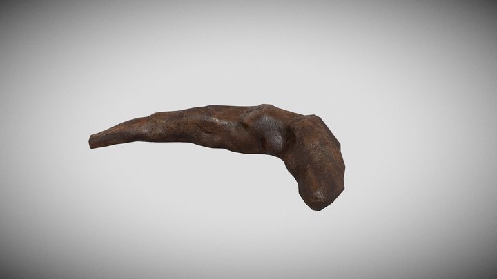 Shit_A 3D Model