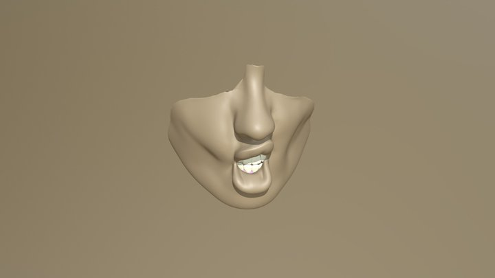 Nose And Smushed Mouth 3D Model