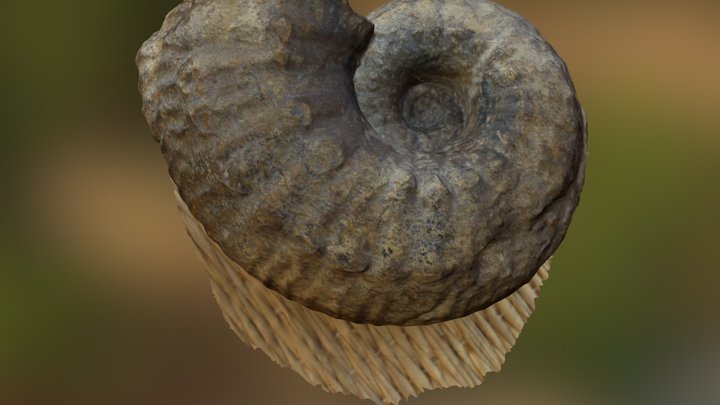 Capture 2015 05 28 15 26 33 Tex 2 3D Model