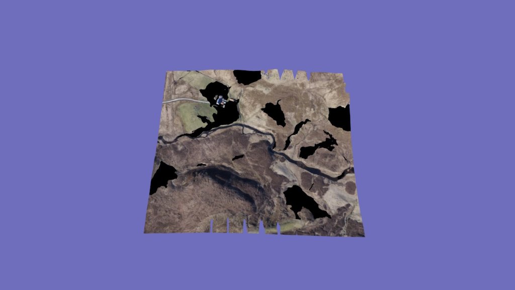 Lyne 6