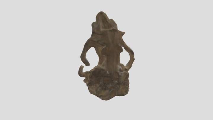OCPC 54809 Pinniped Skull 3D Model
