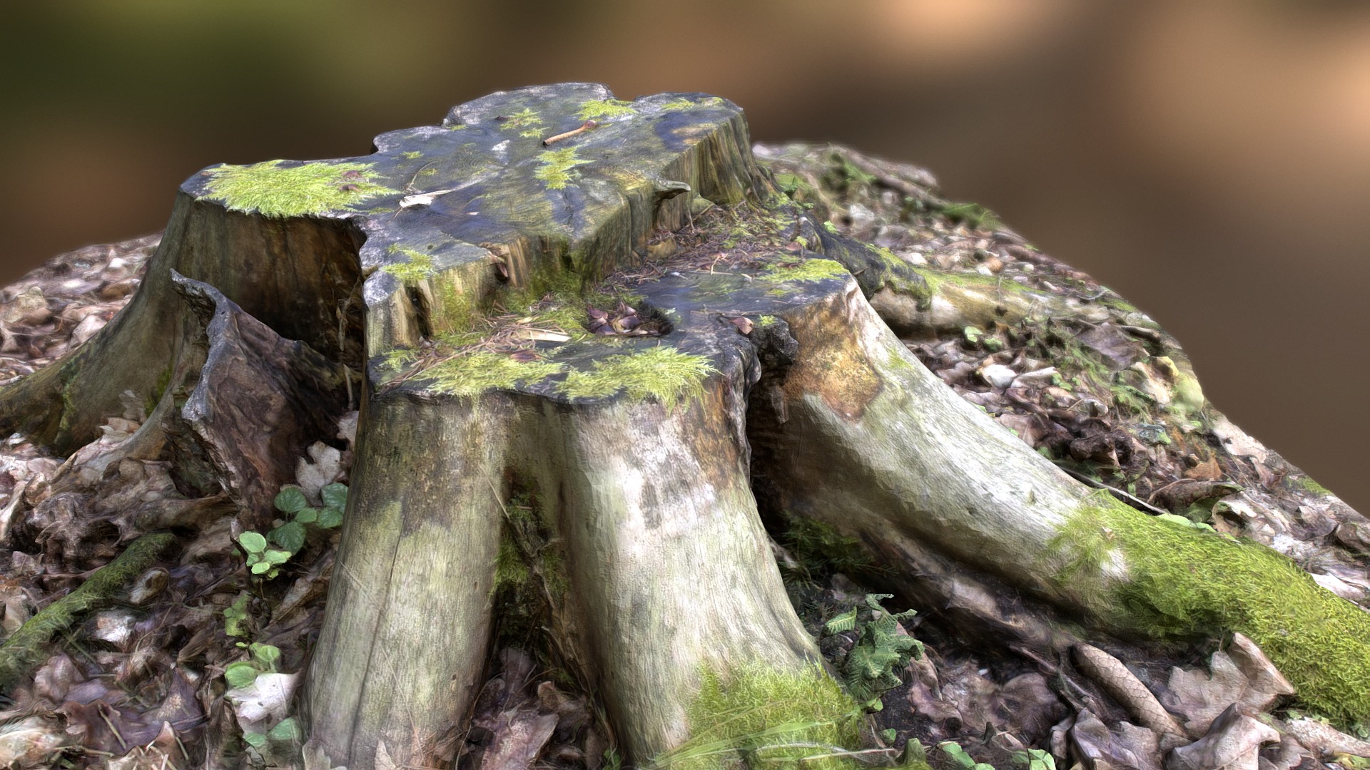 3D model Mossy stump - This is a 3D model of the Mossy stump. The 3D model is about a tree stump with moss growing on it.