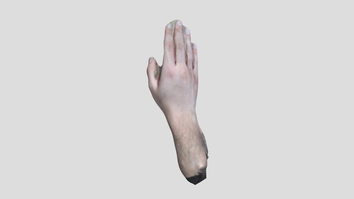 Hand Scanning Test 3D Model