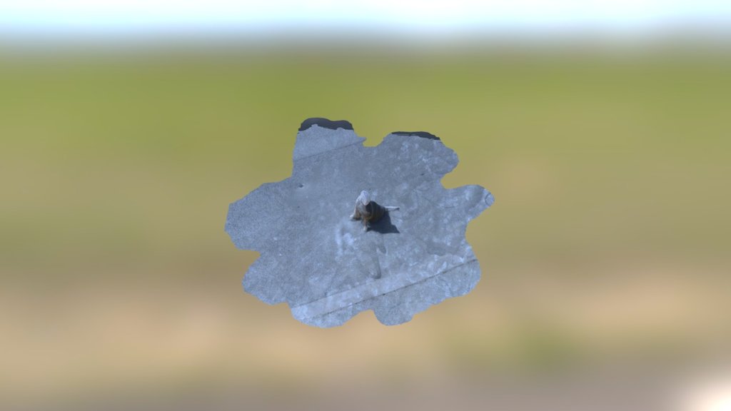 dog3