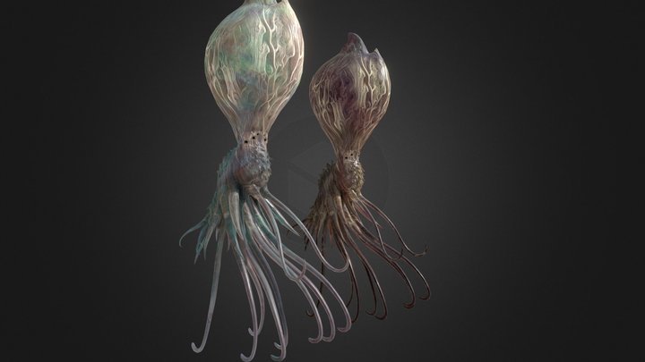 Alien 11 3D Model