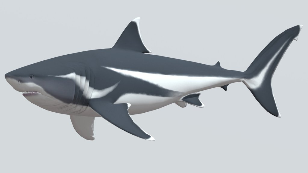 Megalodon (2020 reconstruction)