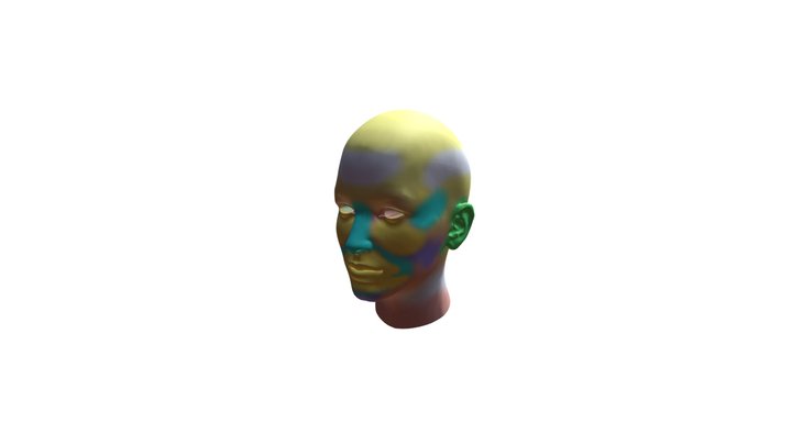 Female Head 3D Model