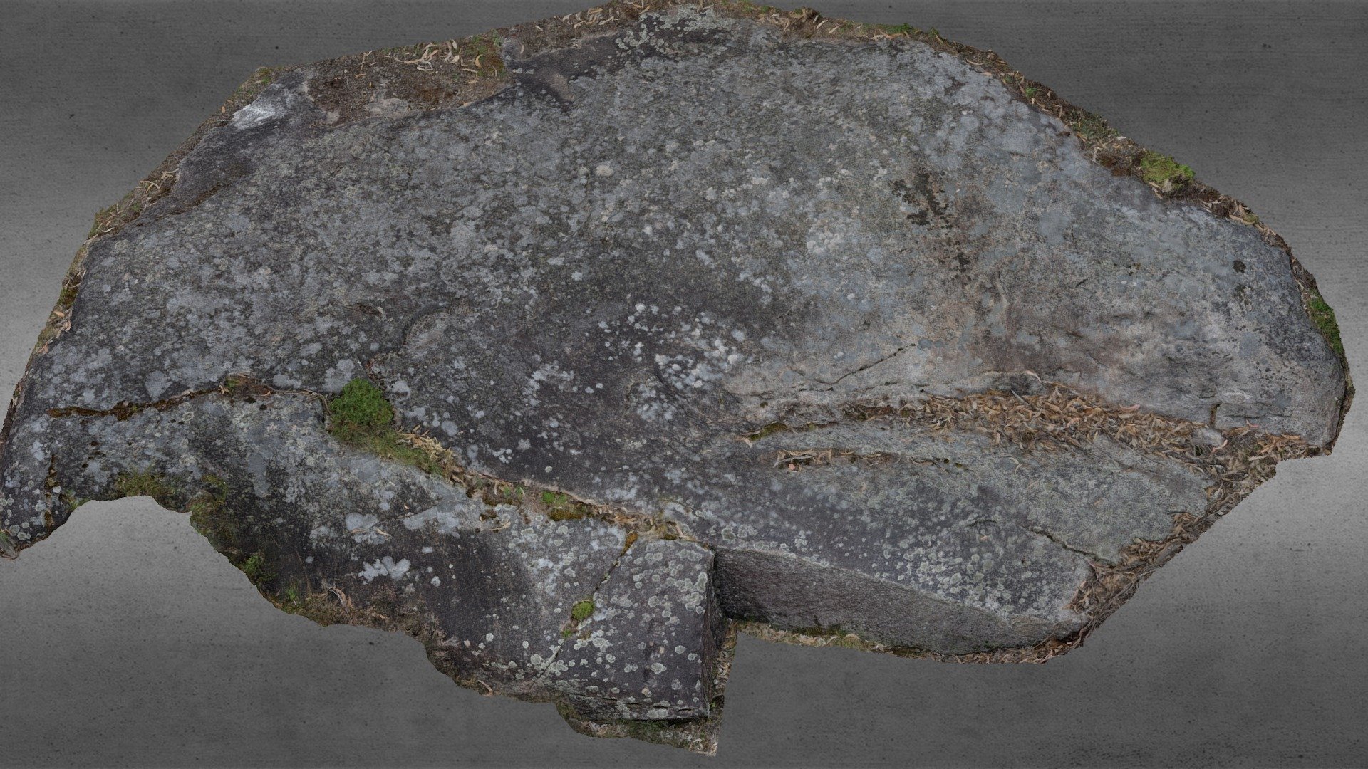 Where's the fu&@$*% petroglyph?