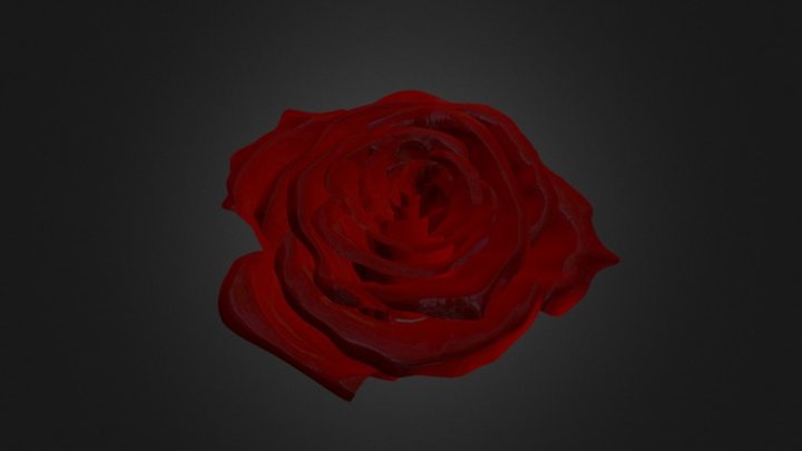 роза 3D Model