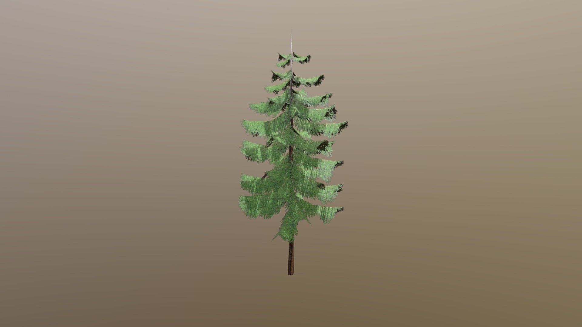 Fir Tree