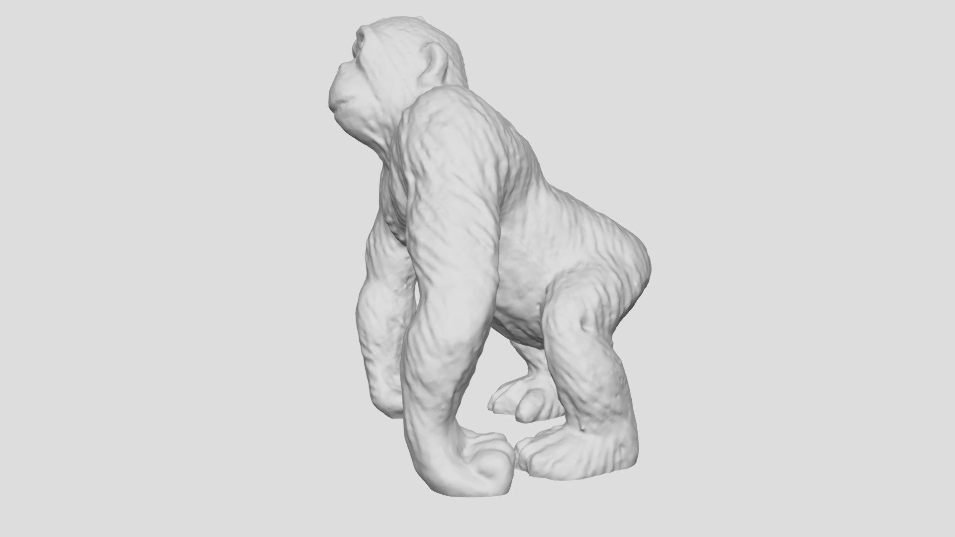 Gorilla 3D Scan