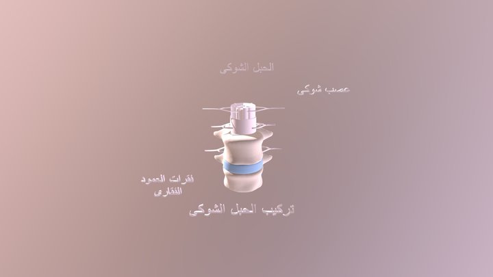 CUT-SLICE-SKELET-FPX-tx 3D Model