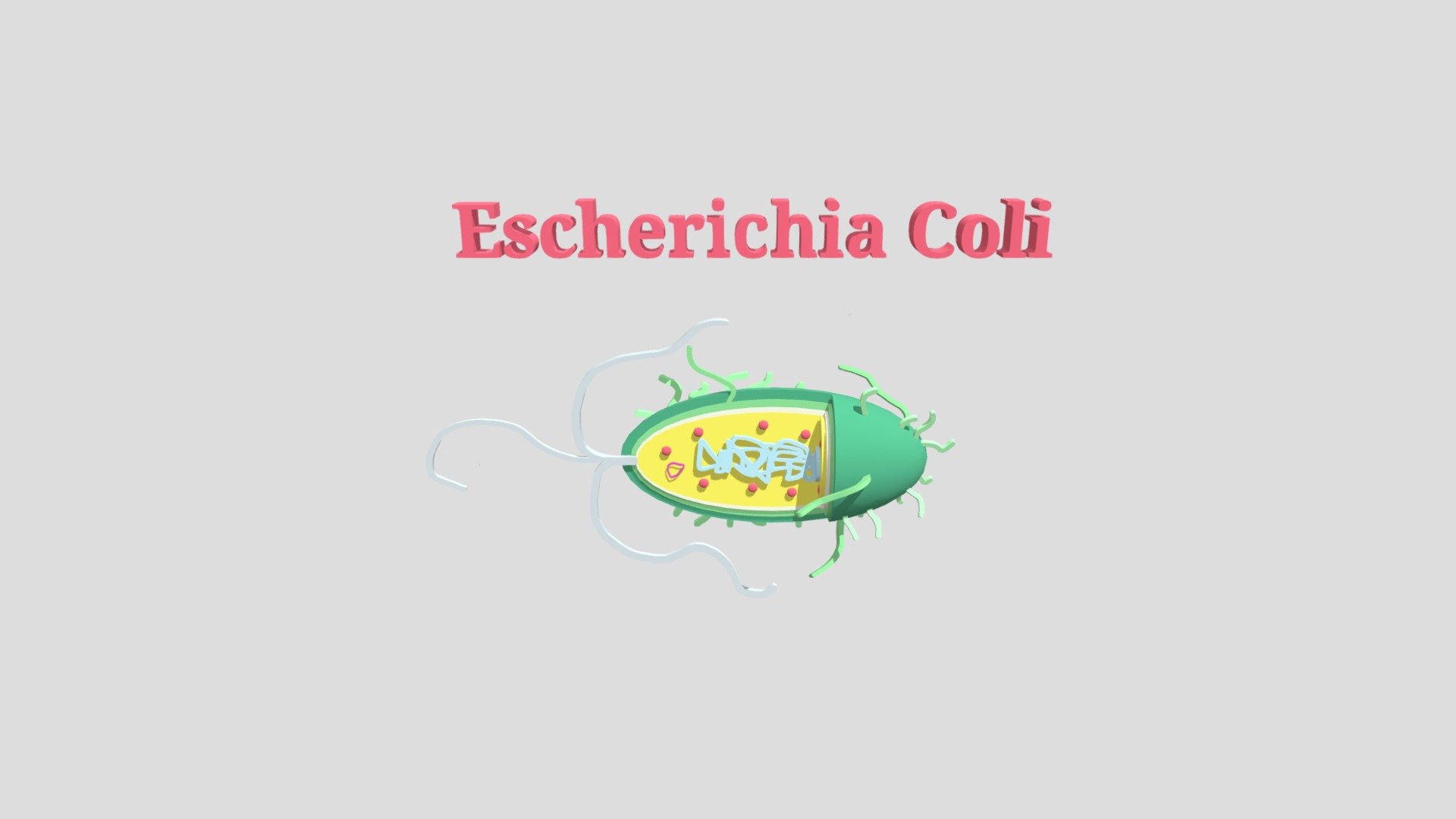 MICROUGHS_Escherichia_coli_CMGR