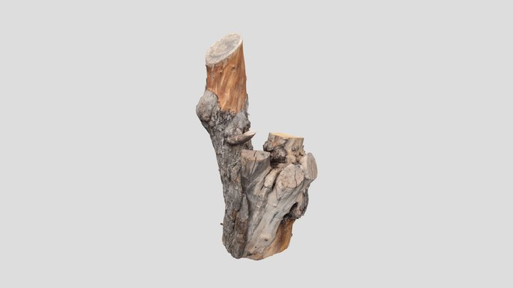 Epletre 3D Model
