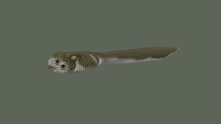 Snake (Echo) 3D Model