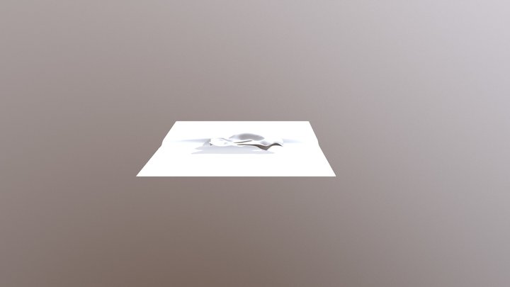 Model (Try) 3D Model
