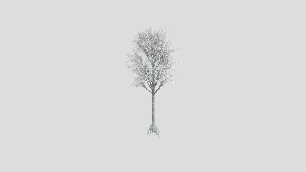 Tree 31