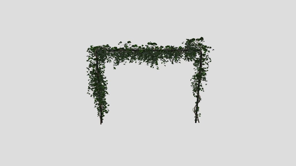 Simple Ivy Trellis Plant