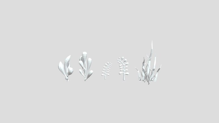 SEAWEED