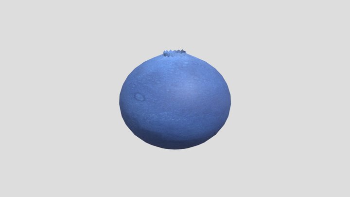 blueberry 3D Model