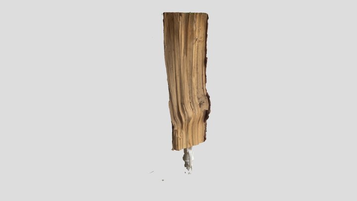 Wood Log 3D Model