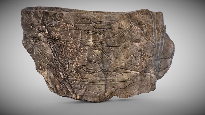 plaquette gravée magdalénienne 3D Model