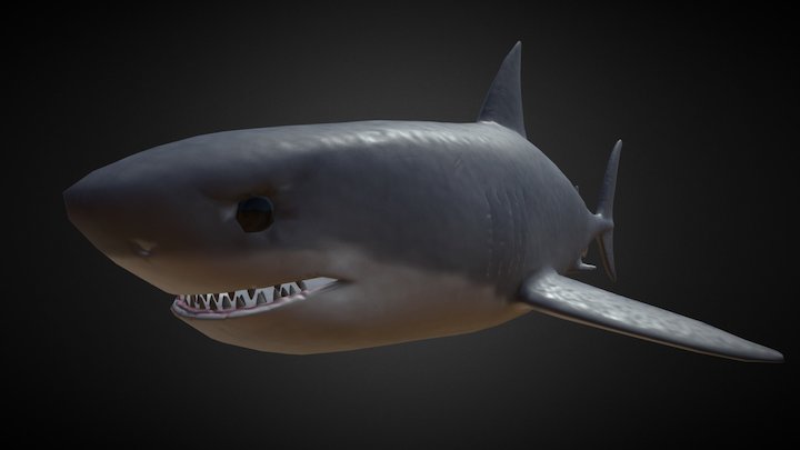 Gills on a Shark - What's the best method? - Modeling - Blender Artists  Community
