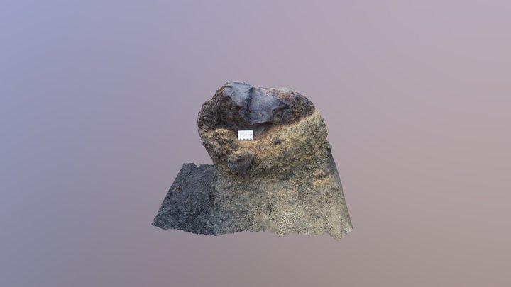 Erosion différentielle mini cheminée de basalte 3D Model