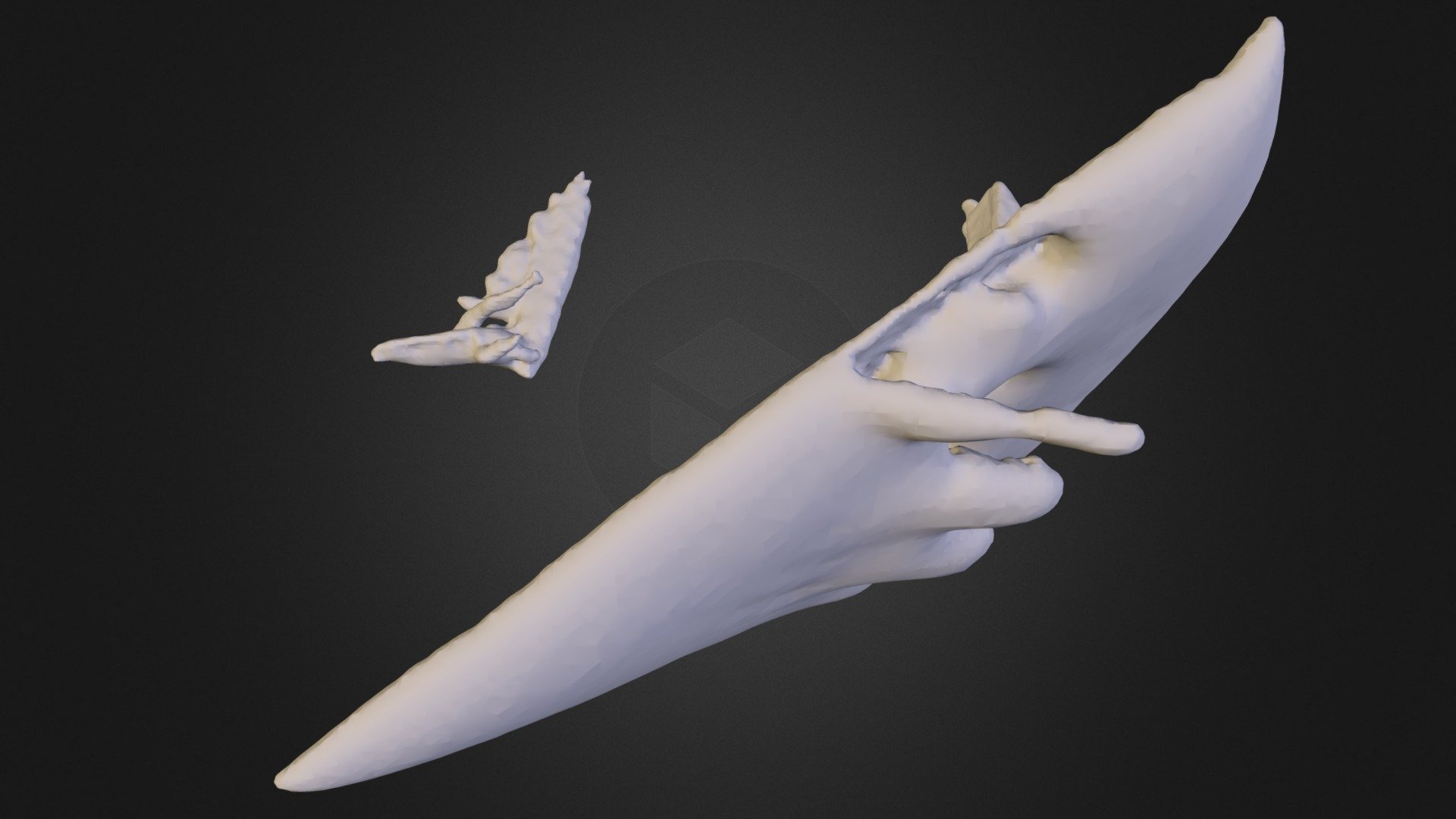 edit_me.ply - 3D model by BrendenRieck [5dJ9vFl] - Sketchfab