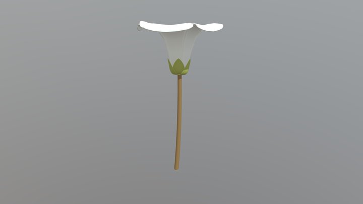 Calystegia Sepium 3D Model