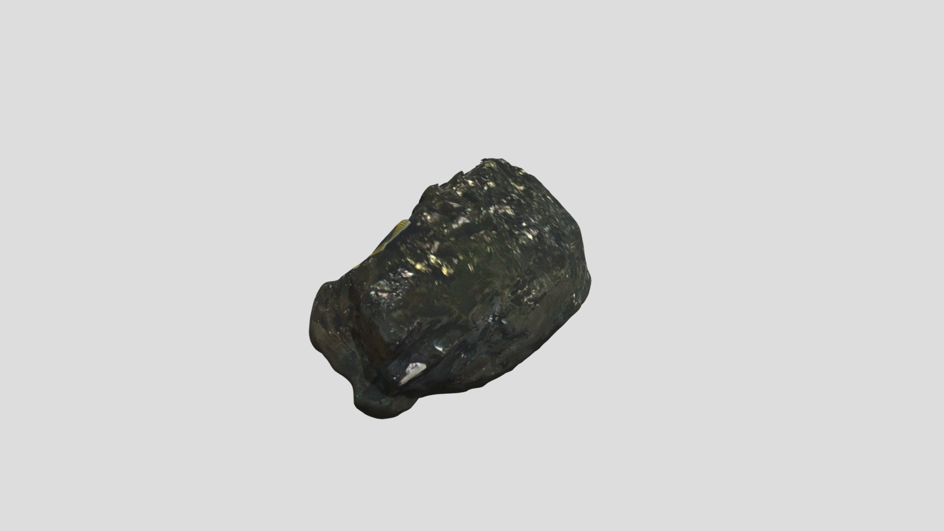 Specimen 104