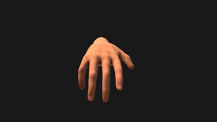 Hand 3D Model