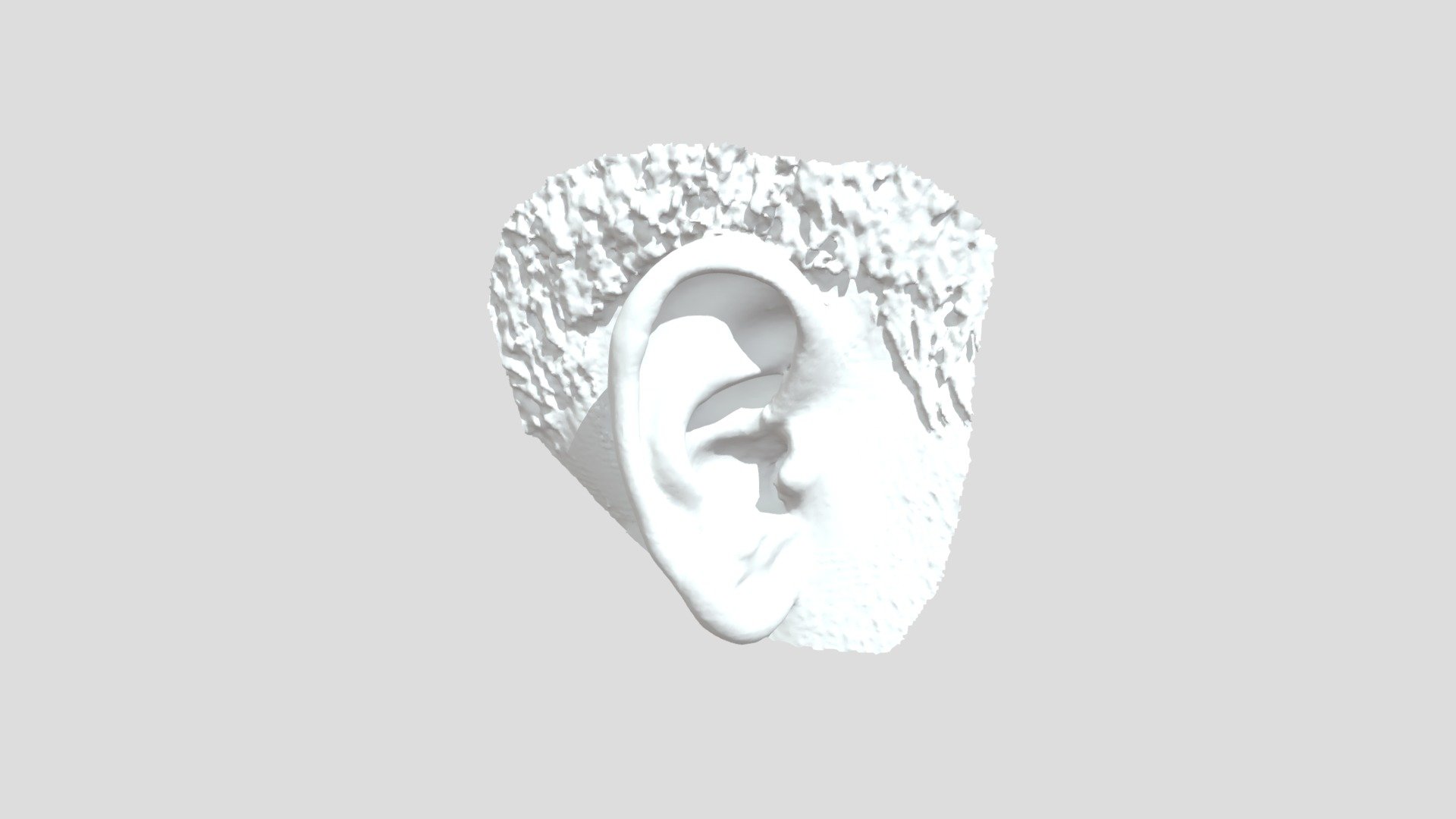 Ear