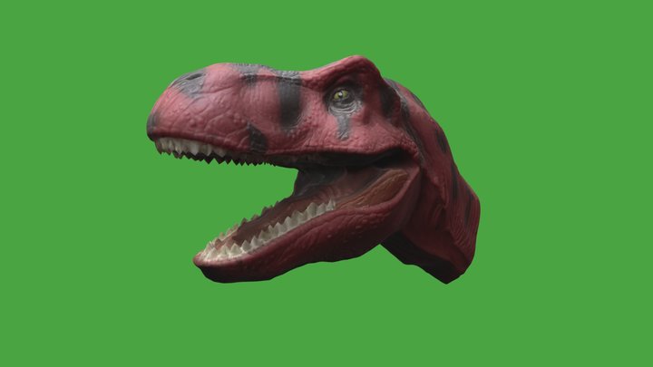 Tyrannosaurus Rex head 3D Model