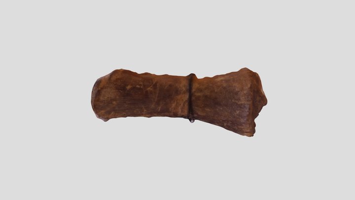Mysterybone 3D Model