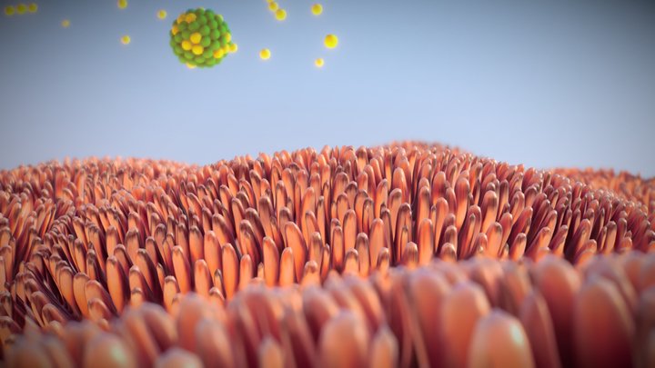 Villi- Scene Test 13 Correct-mapping 3D Model