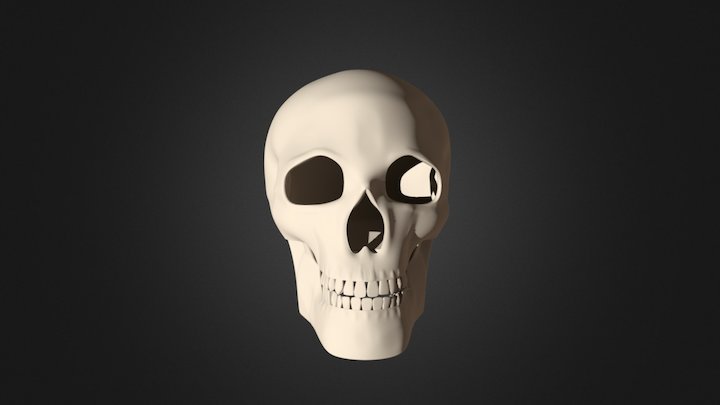 Simple human skull 3D Model