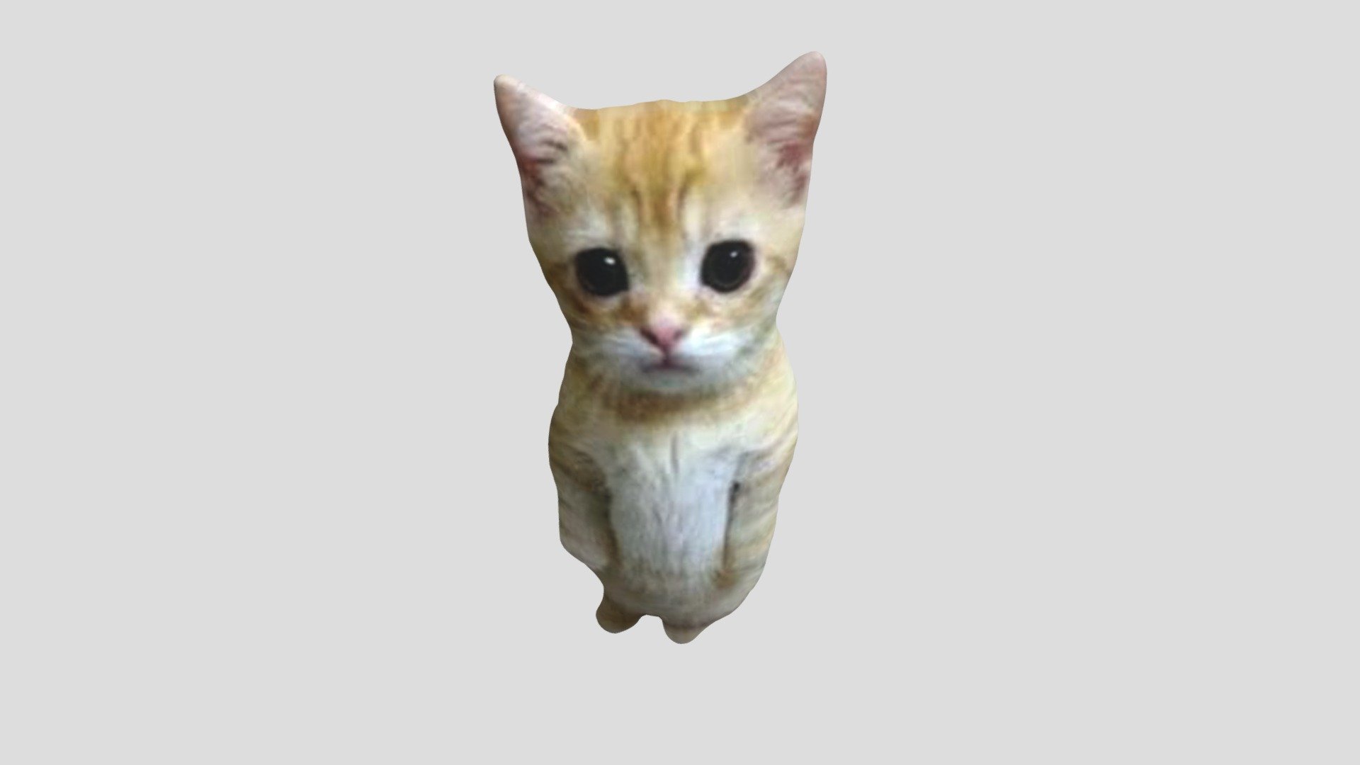 Kitten meme - Download Free 3D model by Dorsainvalbros [5db6891 ...