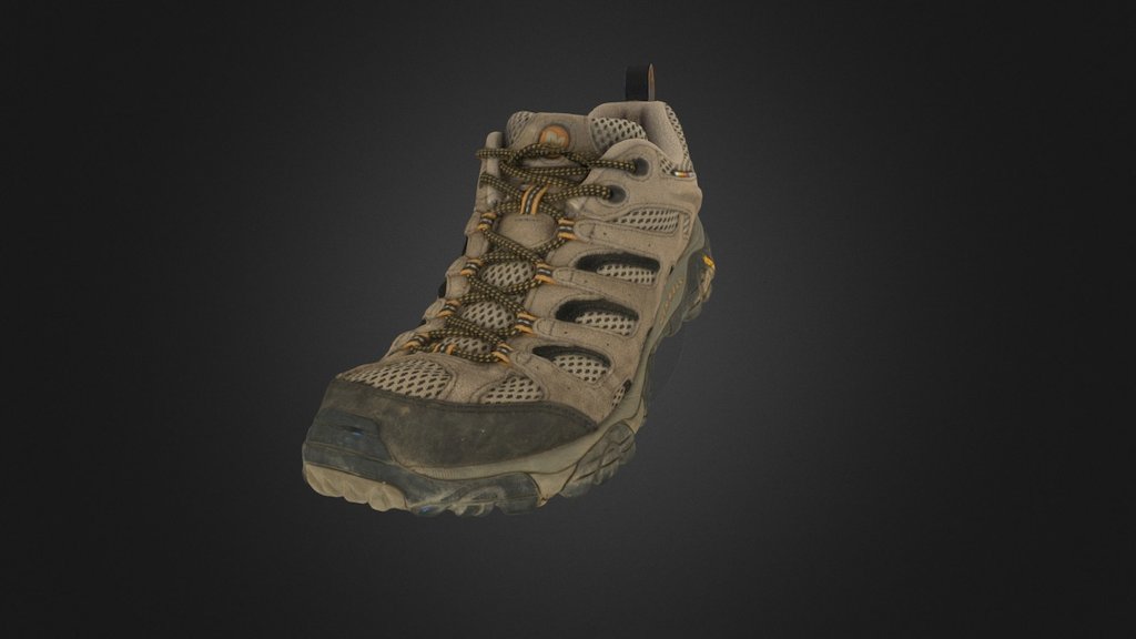 Hiking Shoe - High Res