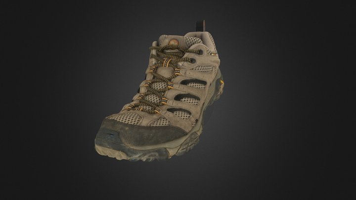 Hiking Shoe - High Res 3D Model