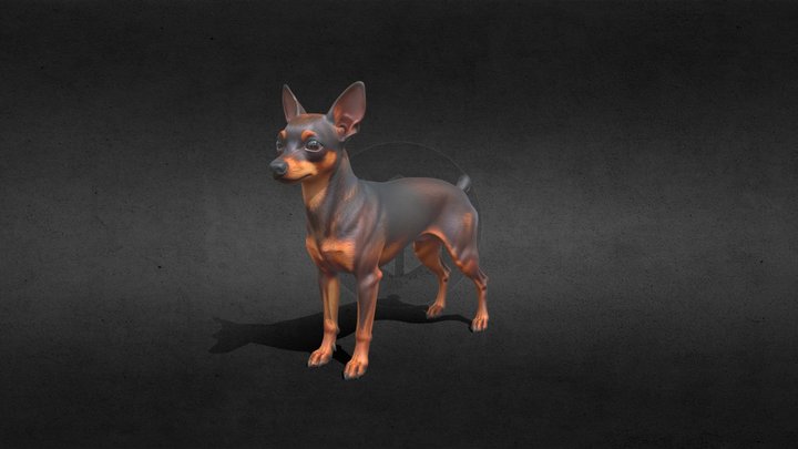 Dog (Miniature Pinscher 小鹿犬)