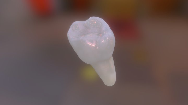 Tooth No Texture 3D Model